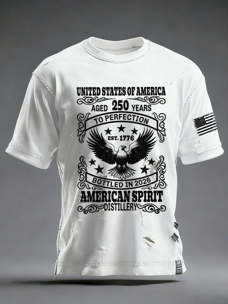 Eagle Age 250 Years America Spirit T-Shirt USA Anniversary Est 1776 Tee Freedom Gifts