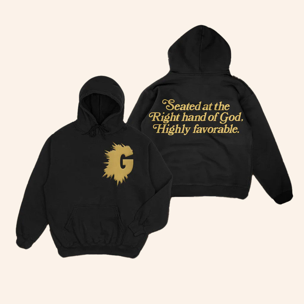 FYL Brand Merch Highly Favorable Quotable Hoodie Religious Gifts Ideas - Thriftgiftshop