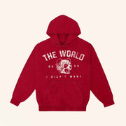 Natalie Jane Merch The World 2025 I Didn't Want Hoodie Gift Ideas For Music Lovers - Thriftgiftshop
