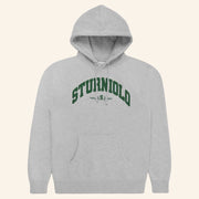 Sturniolo Triplets Merch Sturniolo Surprise Party Collegiate Hoodie Gifts For Boyfriend - Thriftgiftshop