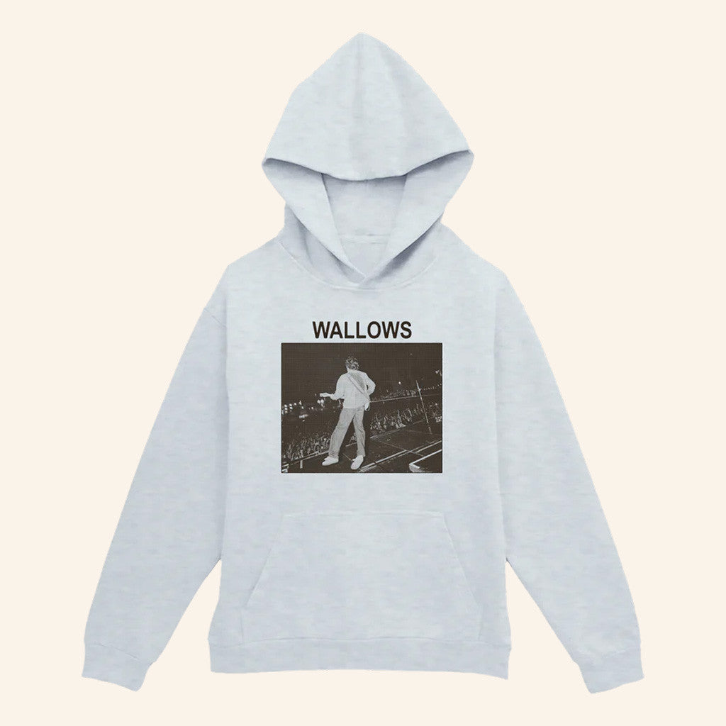 Wallows Merch Stage Crowd Photo Hoodie Birthday Gift For Husband - Thriftgiftshop